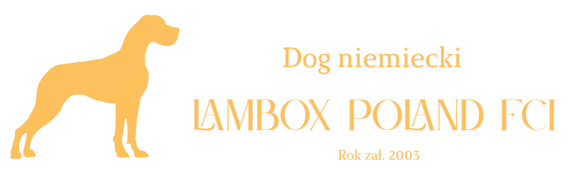 Hodowla dogów niemieckich