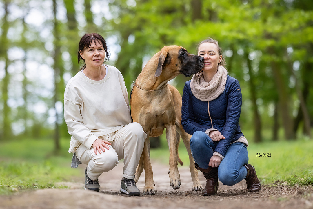 dwie kobiety i dog niemiecki