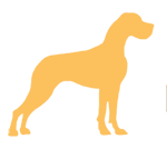 Hodowla dogów niemieckich