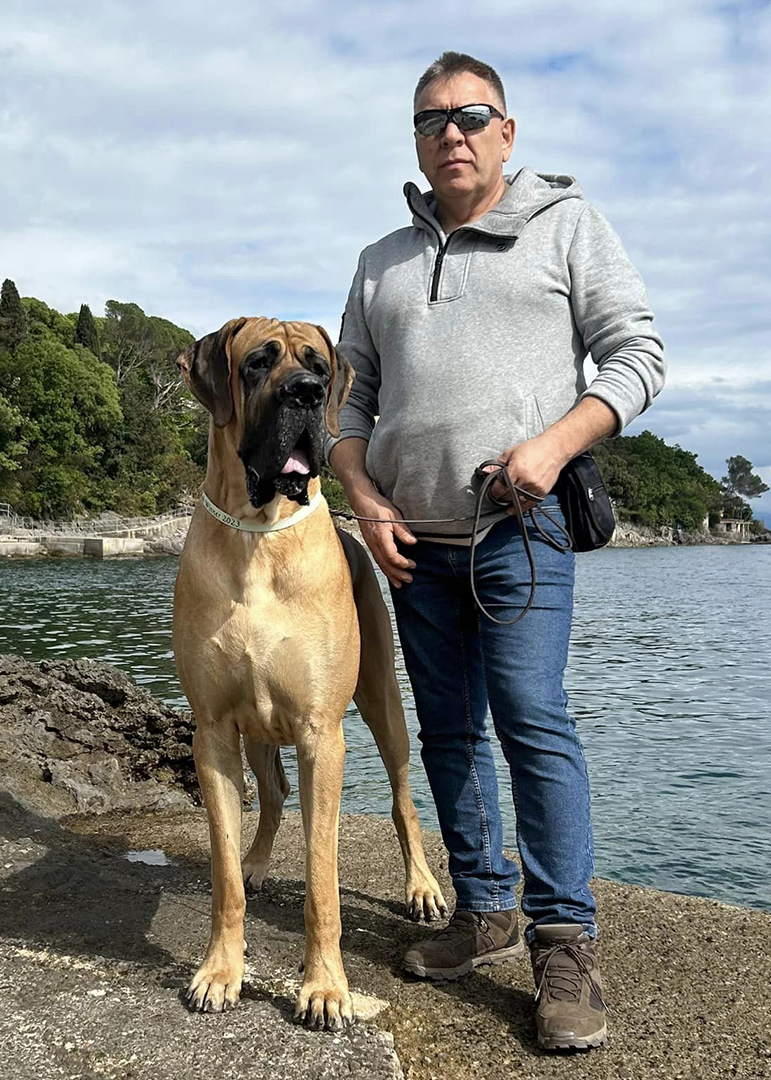 Rozmaryn w Chorwacji