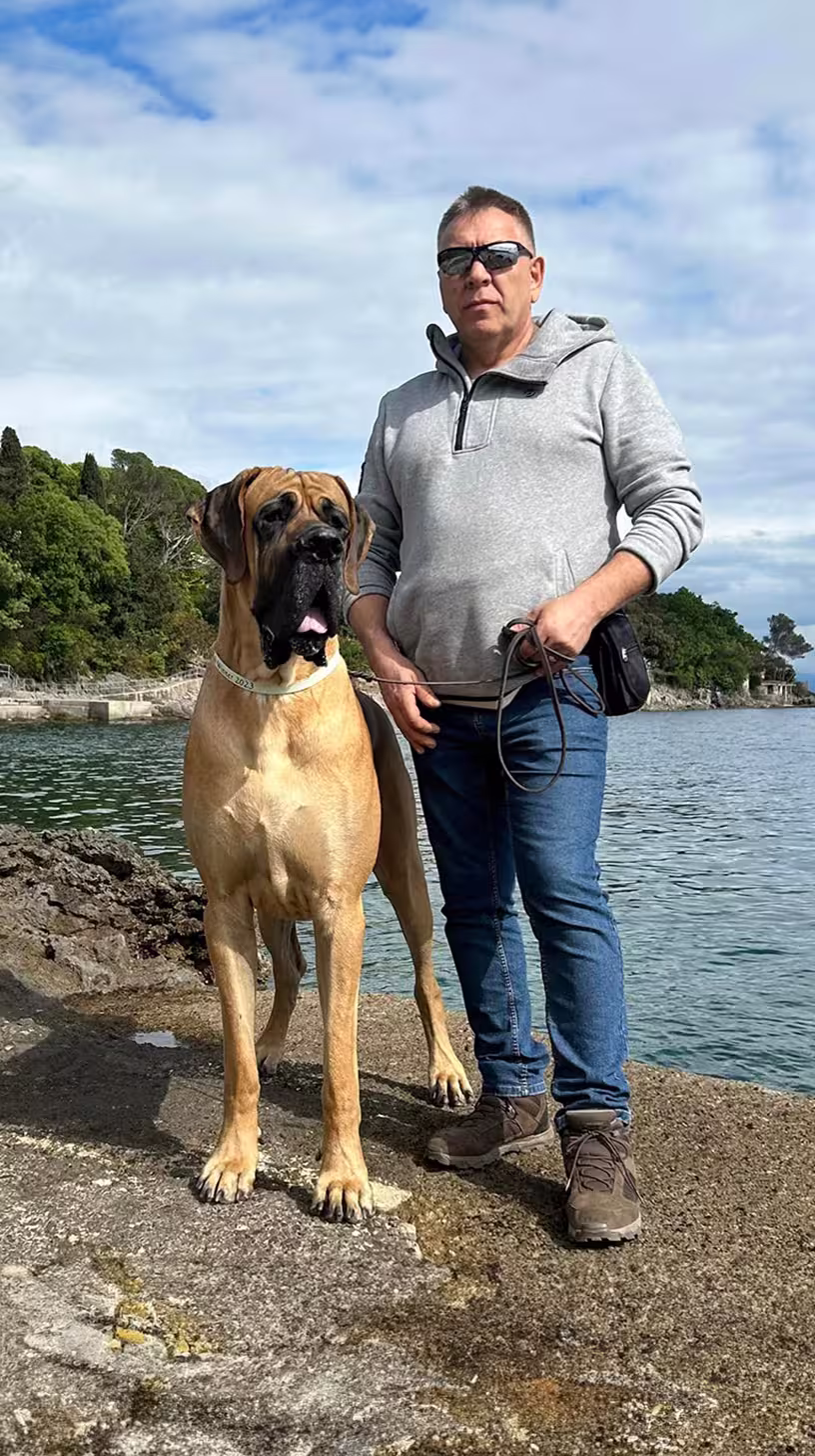 Rozmaryn w Chorwacji